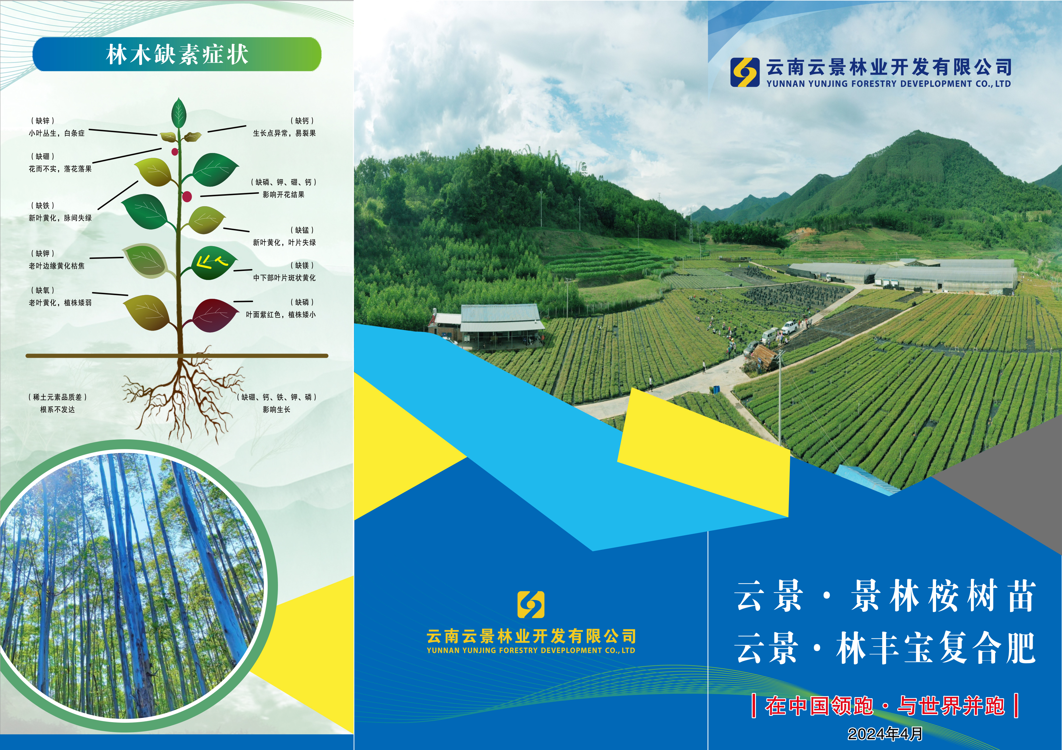 景林公司《苗、肥宣傳冊》（2024.4.8定稿）-1.jpg